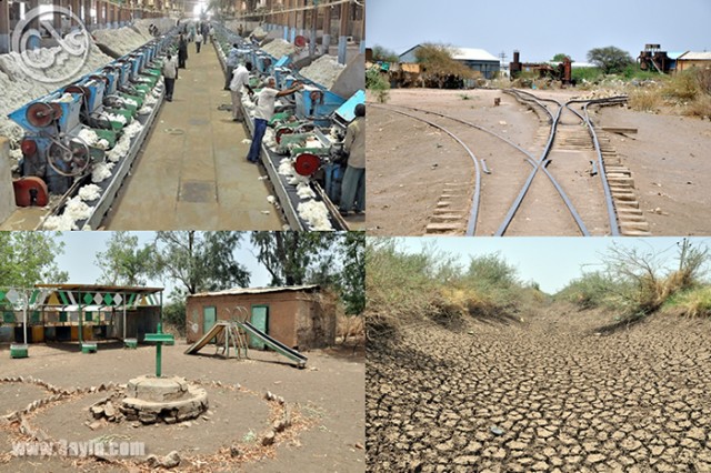 مشروع الجزيرة والزراعة في السودان .. قصة موت مُعلن