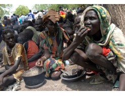نذر مجاعة تهدد ولايات دارفور والموطنون ياكلون ثمار